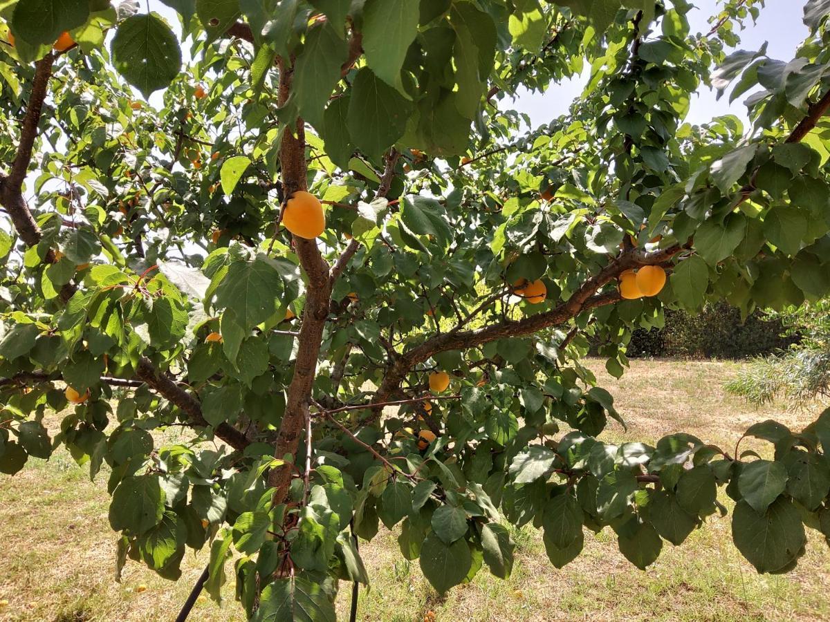 Casetta Vacanza In Campagna Aradeo Kültér fotó
