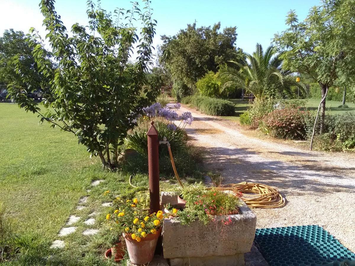 Casetta Vacanza In Campagna Aradeo Kültér fotó