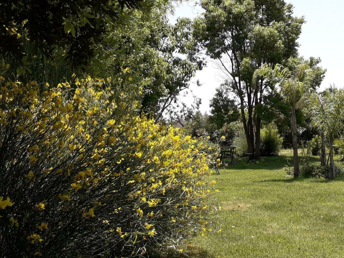 Casetta Vacanza In Campagna Aradeo Kültér fotó